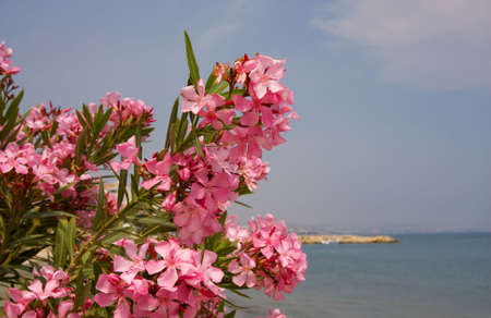 Group of colors On a background of a seaの写真素材