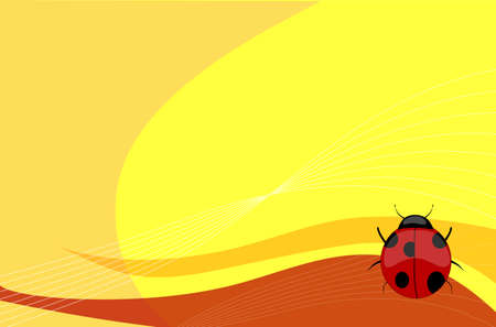 Ladybird, vector, Illustration, backgroundのイラスト素材