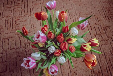 bouquet of beautiful spring tulips on a brown background.の写真素材