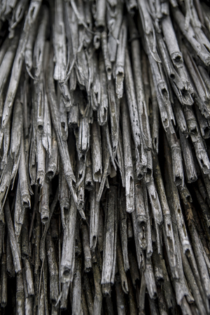 Natural straw texture on the roof of a rural house.の写真素材