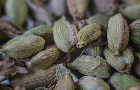 Background of grains of fresh green cardamom.の写真素材