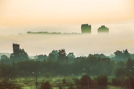 Bright beautiful dawn, light passes through the fog.の写真素材
