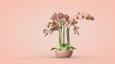 Luxurious orchid flowers, interior design, 3D rendering.の写真素材