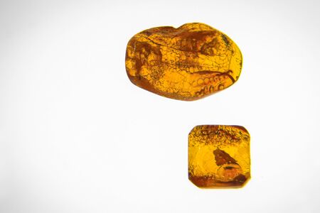 Fragments of amber close-up. Natural amber with pieces of antiquities insideの写真素材