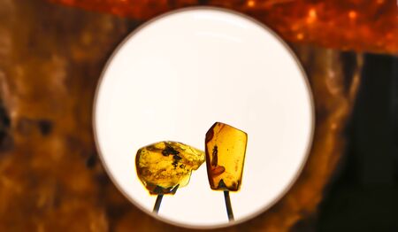 Fragments of amber close-up. Natural amber with pieces of antiquities insideの写真素材