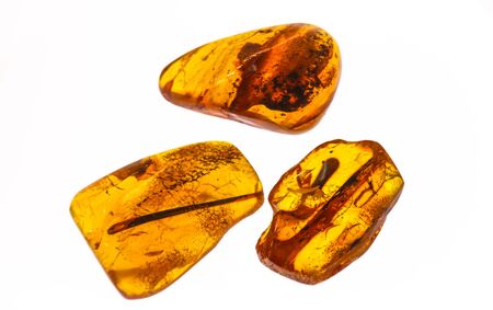 Fragments of amber close-up. Natural amber with pieces of antiquities insideの写真素材