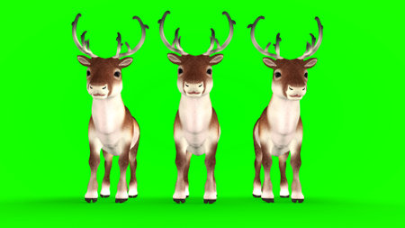 Christmas deer on greenの写真素材