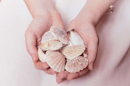Many beautiful seashells in the hands of the girlの写真素材