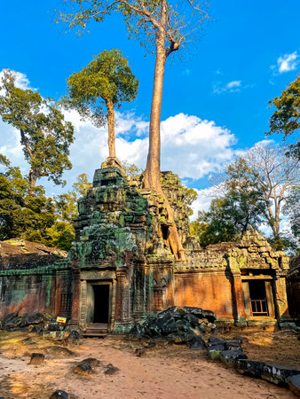 Ta Prohm, a mysterious temple of the Khmer civilization, located on the territory of Angkor in Cambodia.の写真素材
