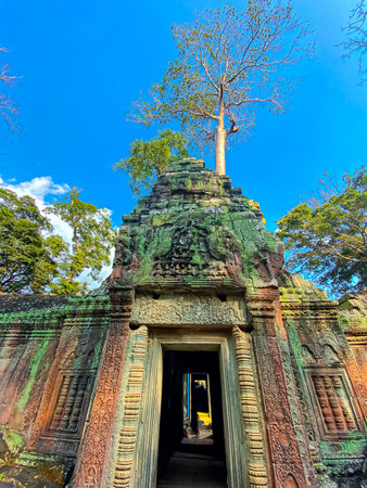 Ta Prohm, a mysterious temple of the Khmer civilization, located on the territory of Angkor in Cambodia.の写真素材