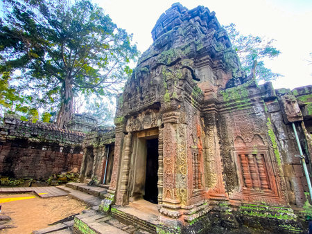 Ta Prohm, a mysterious temple of the Khmer civilization, located on the territory of Angkor in Cambodia.の写真素材