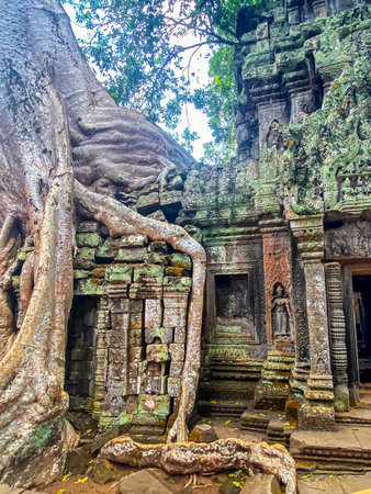 Ta Prohm, a mysterious temple of the Khmer civilization, located on the territory of Angkor in Cambodia.の写真素材