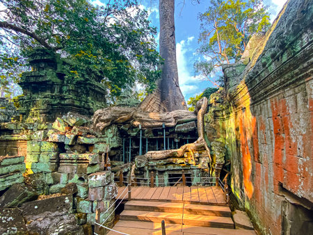 Ta Prohm, a mysterious temple of the Khmer civilization, located on the territory of Angkor in...