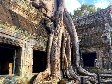 Ta Prohm, a mysterious temple of the Khmer civilization, located on the territory of Angkor in Cambodia.の写真素材