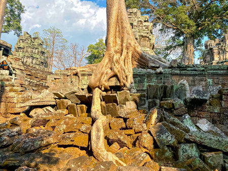 Ta Prohm, a mysterious temple of the Khmer civilization, located on the territory of Angkor in Cambodia.の写真素材