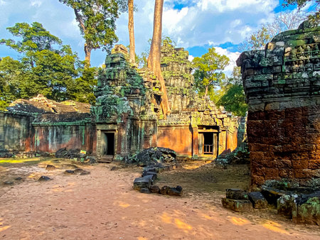 Ta Prohm, a mysterious temple of the Khmer civilization, located on the territory of Angkor in Cambodia.の写真素材