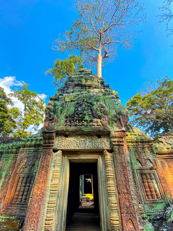 Ta Prohm, a mysterious temple of the Khmer civilization, located on the territory of Angkor in Cambodia.の写真素材