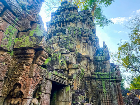 Ta Prohm, a mysterious temple of the Khmer civilization, located on the territory of Angkor in Cambodia.の写真素材