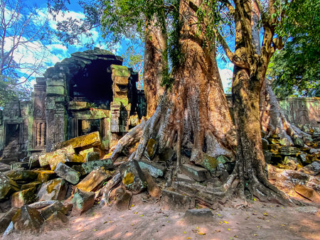 Ta Prohm, a mysterious temple of the Khmer civilization, located on the territory of Angkor in Cambodia.の写真素材