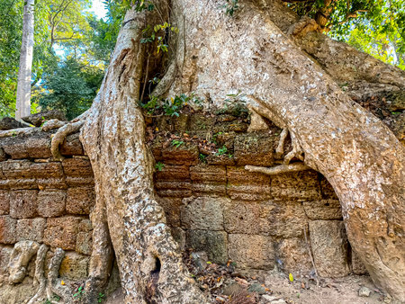 Ta Prohm, a mysterious temple of the Khmer civilization, located on the territory of Angkor in Cambodia.の写真素材