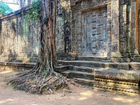 Ta Prohm, a mysterious temple of the Khmer civilization, located on the territory of Angkor in Cambodia.の写真素材