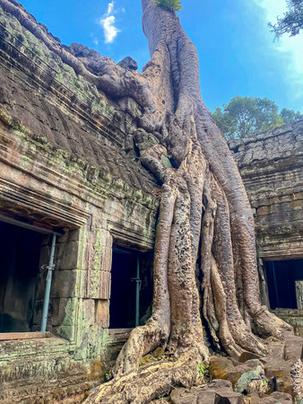 Ta Prohm, a mysterious temple of the Khmer civilization, located on the territory of Angkor in Cambodia.の写真素材