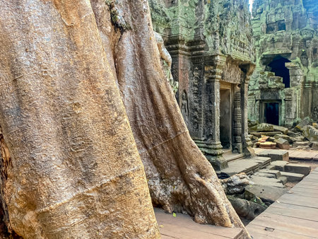 Ta Prohm, a mysterious temple of the Khmer civilization, located on the territory of Angkor in Cambodia.の写真素材