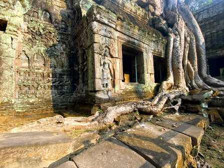 Ta Prohm, a mysterious temple of the Khmer civilization, located on the territory of Angkor in Cambodia.の写真素材