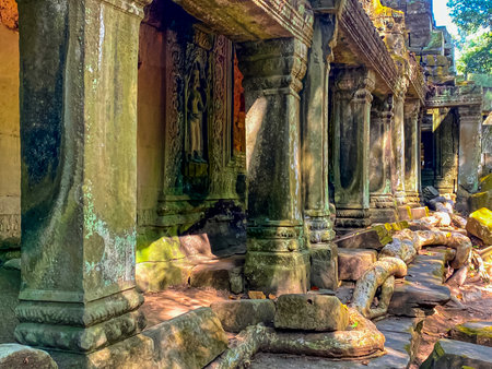 Ta Prohm, a mysterious temple of the Khmer civilization, located on the territory of Angkor in Cambodia.の写真素材