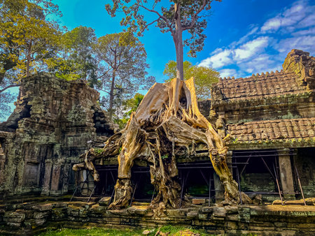 Preah Khan, Preah Khan Kampong Svay archaeological site, Angkor, Cambodia.の写真素材