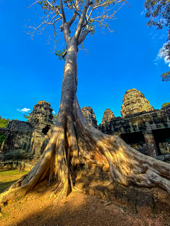 Ta Prohm, a mysterious temple of the Khmer civilization, located on the territory of Angkor in Cambodia.の写真素材