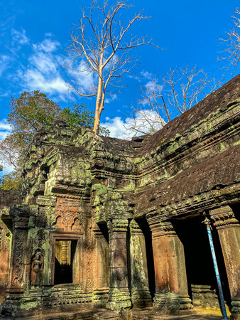Ta Prohm, a mysterious temple of the Khmer civilization, located on the territory of Angkor in Cambodia.の写真素材