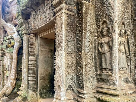 Ta Prohm, a mysterious temple of the Khmer civilization, located on the territory of Angkor in Cambodia.の写真素材