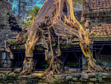 Preah Khan, Preah Khan Kampong Svay archaeological site, Angkor, Cambodia.の写真素材