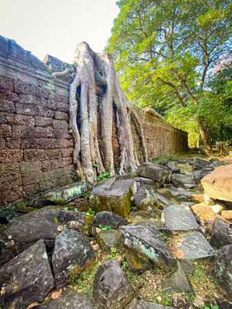 Preah Khan, Preah Khan Kampong Svay archaeological site, Angkor, Cambodia.の写真素材