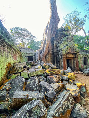 Ta Prohm, a mysterious temple of the Khmer civilization, located on the territory of Angkor in Cambodia.の写真素材