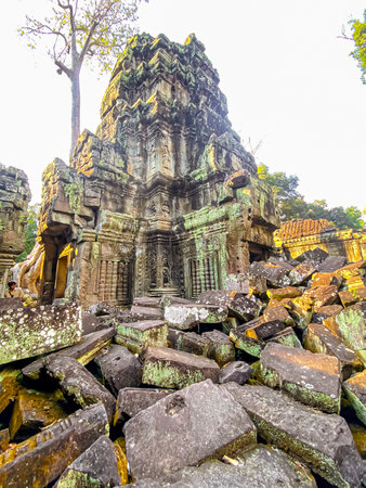 Ta Prohm, a mysterious temple of the Khmer civilization, located on the territory of Angkor in Cambodia.の写真素材