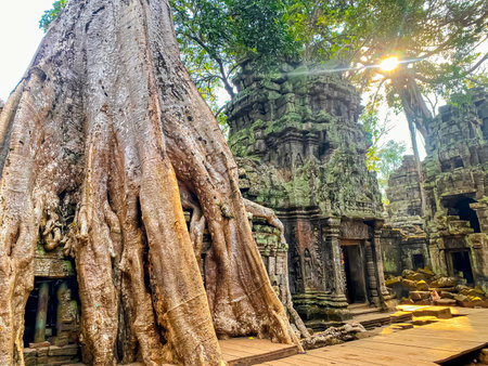 Ta Prohm, a mysterious temple of the Khmer civilization, located on the territory of Angkor in Cambodia.の写真素材
