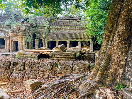 Ta Prohm, a mysterious temple of the Khmer civilization, located on the territory of Angkor in Cambodia.の写真素材