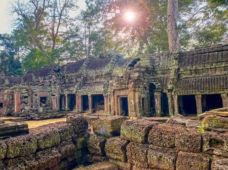 Ta Prohm, a mysterious temple of the Khmer civilization, located on the territory of Angkor in Cambodia.の写真素材