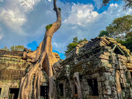Ta Prohm, a mysterious temple of the Khmer civilization, located on the territory of Angkor in Cambodia.の写真素材
