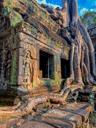 Ta Prohm, a mysterious temple of the Khmer civilization, located on the territory of Angkor in Cambodia.の写真素材