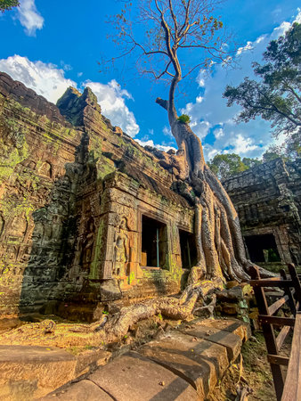 Ta Prohm, a mysterious temple of the Khmer civilization, located on the territory of Angkor in Cambodia.の写真素材