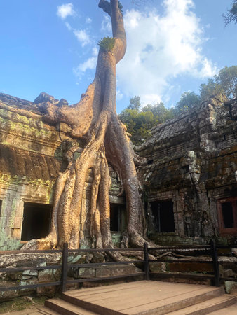 Ta Prohm, a mysterious temple of the Khmer civilization, located on the territory of Angkor in Cambodia.の写真素材