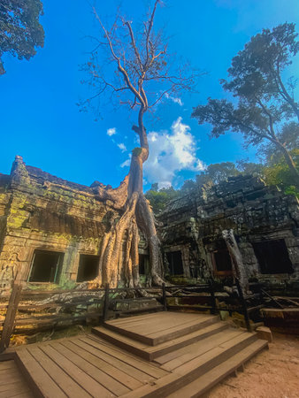 Ta Prohm, a mysterious temple of the Khmer civilization, located on the territory of Angkor in Cambodia.の写真素材