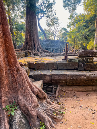 Ta Prohm, a mysterious temple of the Khmer civilization, located on the territory of Angkor in Cambodia.の写真素材