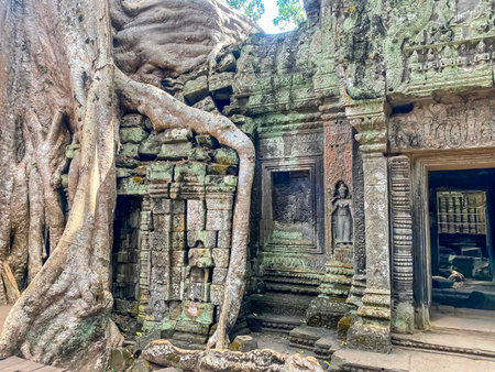 Ta Prohm, a mysterious temple of the Khmer civilization, located on the territory of Angkor in Cambodia.の写真素材