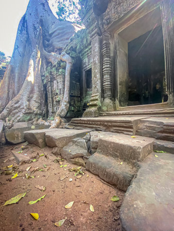 Ta Prohm, a mysterious temple of the Khmer civilization, located on the territory of Angkor in Cambodia.の写真素材