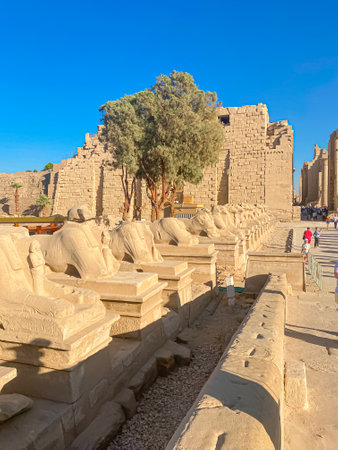 Karnak Temple is dedicated to the temple complex of Ancient Egypt in honor of the god Amun-Ra, his wife Mut and son Khons. Thebes, Karnak, Luxor, Egypt.の写真素材