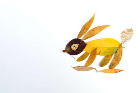 abstract bunny made of autumn leaves, fall foliage flat layの写真素材